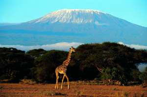 Mt. Kilimanjaro